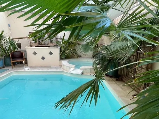 Cocoon In Cannes ***** Appartement